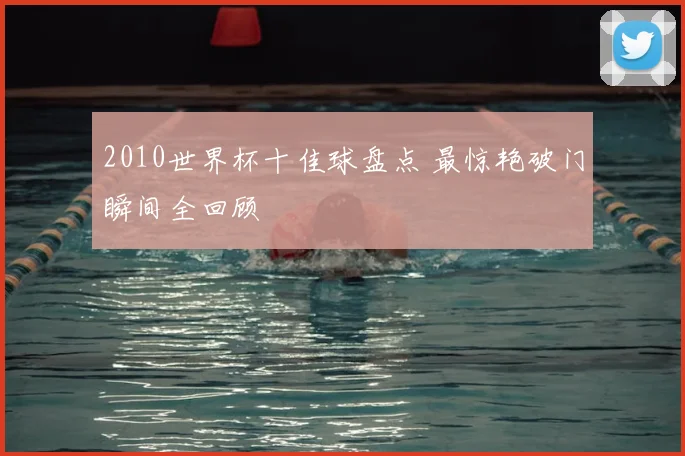 2010世界杯十佳球盘点 最惊艳破门瞬间全回顾