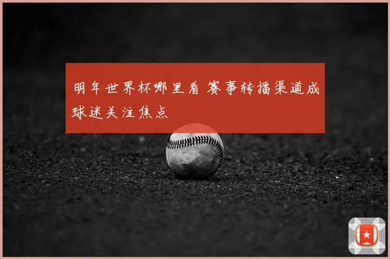 明年世界杯哪里看 赛事转播渠道成球迷关注焦点