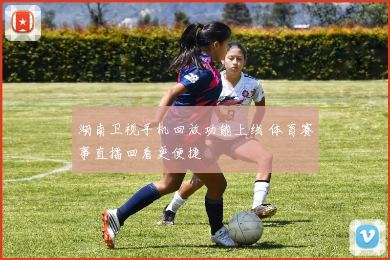湖南卫视手机回放功能上线 体育赛事直播回看更便捷
