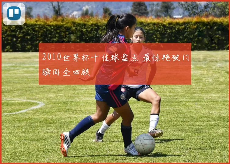 2010世界杯十佳球盘点 最惊艳破门瞬间全回顾