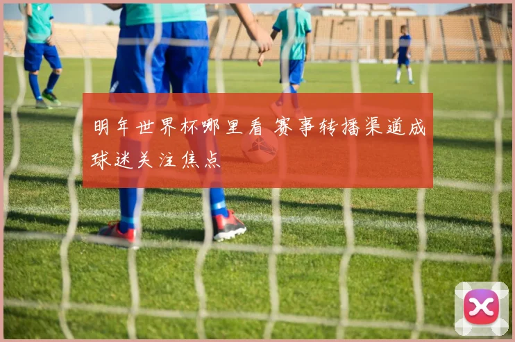 明年世界杯哪里看 赛事转播渠道成球迷关注焦点
