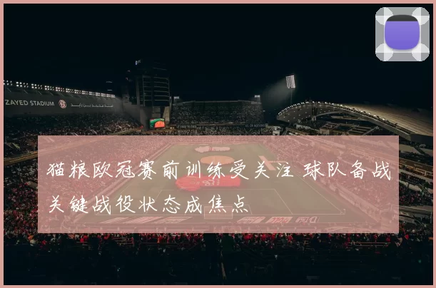 猫粮欧冠赛前训练受关注 球队备战关键战役状态成焦点
