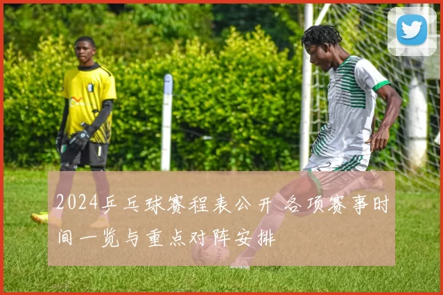 2024乒乓球赛程表公开 各项赛事时间一览与重点对阵安排