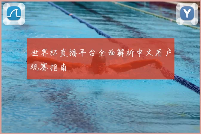 世界杯直播平台全面解析中文用户观赛指南