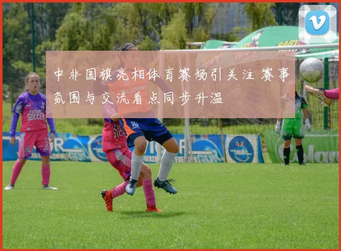 中非国旗亮相体育赛场引关注 赛事氛围与交流看点同步升温