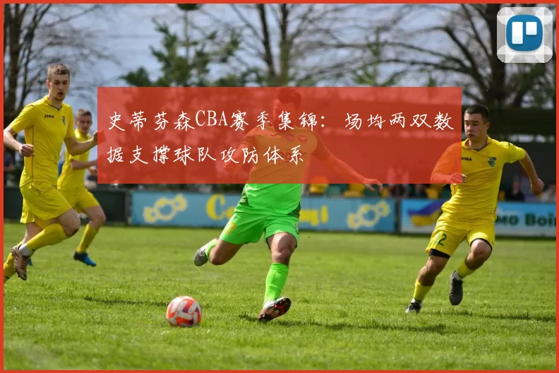 史蒂芬森CBA赛季集锦：场均两双数据支撑球队攻防体系