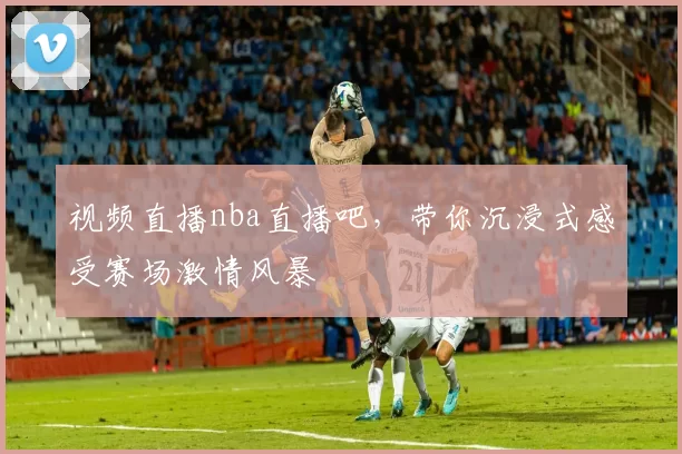 视频直播nba直播吧,带你沉浸式感受赛场激情风暴