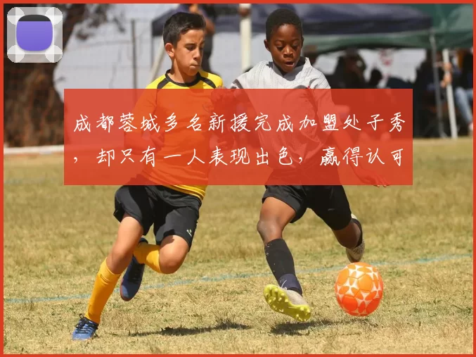 成都蓉城多名新援完成加盟处子秀,却只有一人表现出色,赢得认可