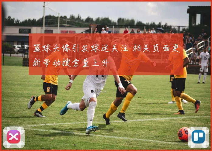 篮球头像引发球迷关注 相关页面更新带动搜索量上升