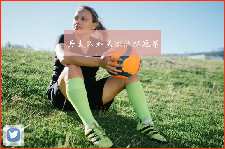 丹麦队加冕欧洲杯冠军