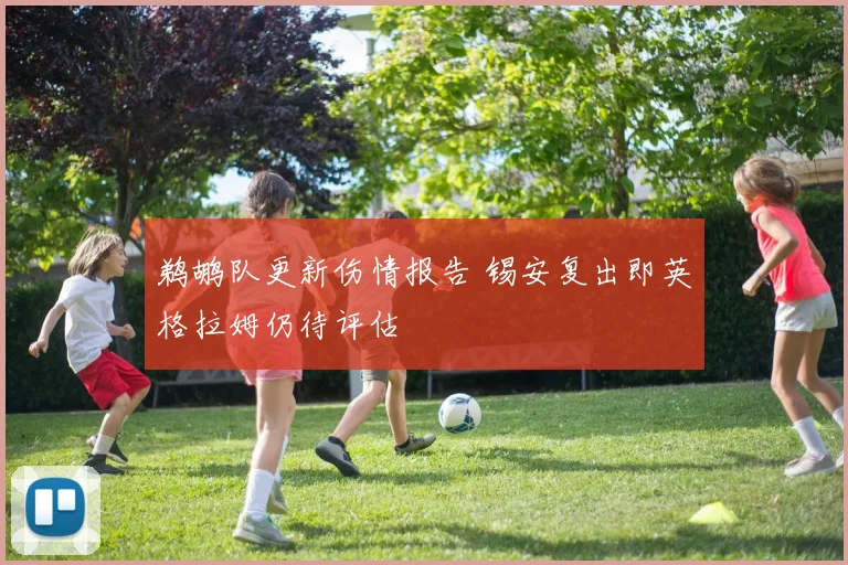 鹈鹕队更新伤情报告 锡安复出即英格拉姆仍待评估
