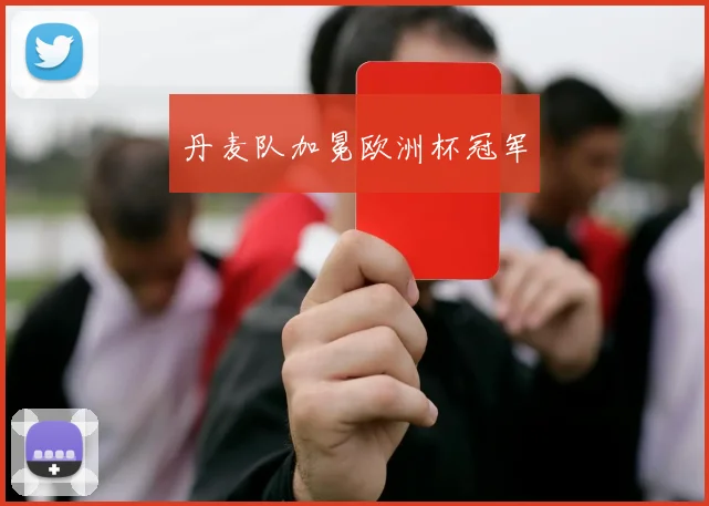 丹麦队加冕欧洲杯冠军