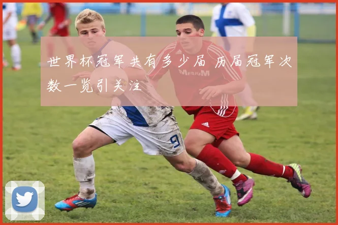 世界杯冠军共有多少届 历届冠军次数一览引关注