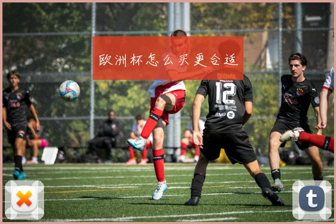 欧洲杯怎么买更合适